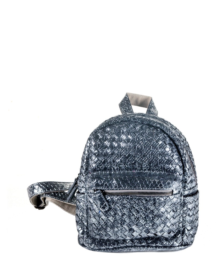 Gray Metalic Small Back Pack
